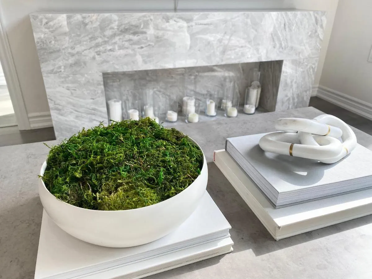 Modern And Bright Luxury Home Centrally Located In Toronto'S Gta Apartman Toronto